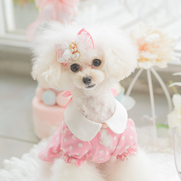 犬服の通販ショップ『きゃんナナ』– 卸会員専用サイト / LB-278
