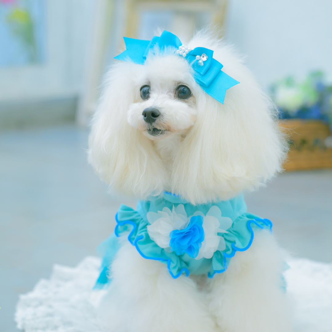 LB-1001 CanNana姫リボン【2026春小売りアクセサリー】【3月入荷予定】