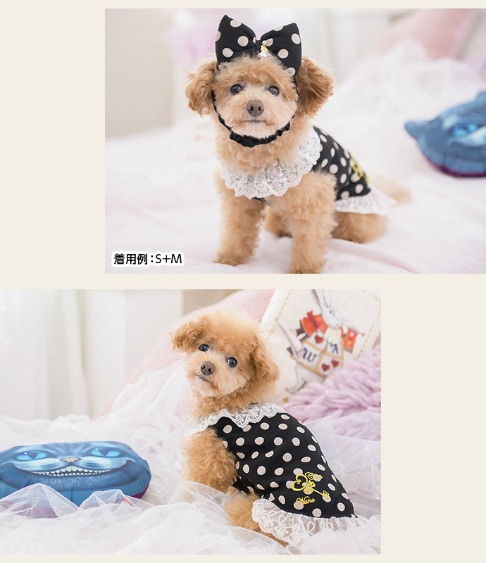 業界No.1 NICE DOG 犬用ワンピースドットリボンM romaydesarrollos.com.ar