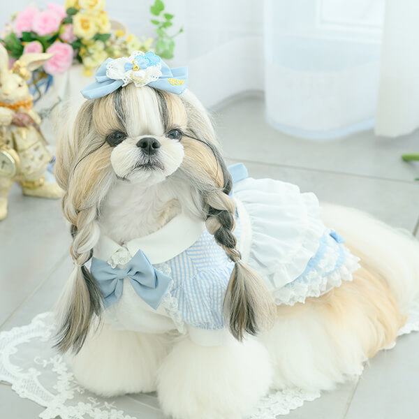 きゃんナナ　Mサイズ　アリスシャツ　ピンクトップス CanNana 犬 服 犬服 犬の服 おしゃれ ブランドセレブ 小型犬