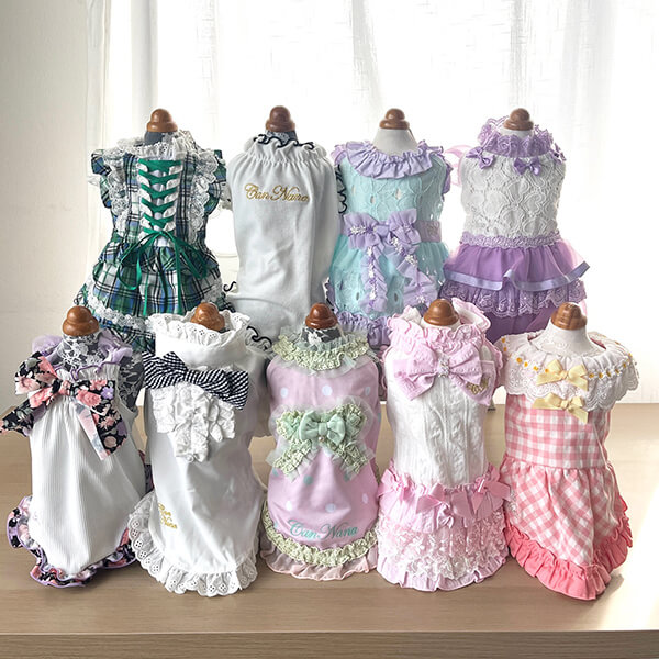春夏の大人可愛いパック(3枚)　Mサイズのみ