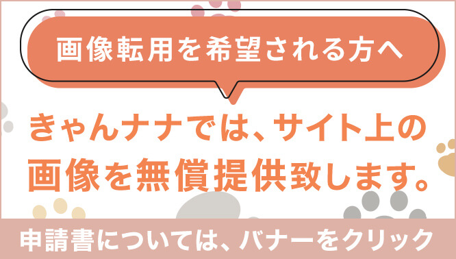 画像転用を希望される方はこちら