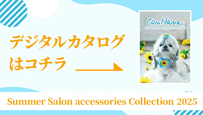2025夏サロンデジタルカタログはこちら