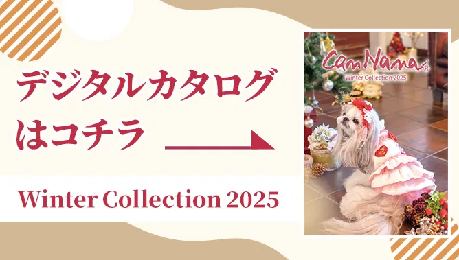 Winter Collection 2025はこちら