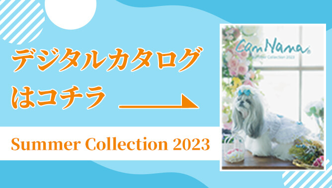 2023夏デジタルカタログはこちら