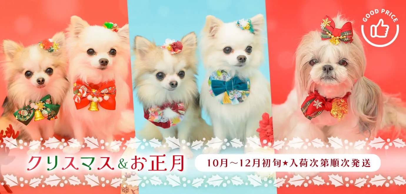 きゃんナナ Mサイズ、Lサイズ 楽天市場】きゃんナナ 犬服 ドッグウェア きゃんナナ フレンチ