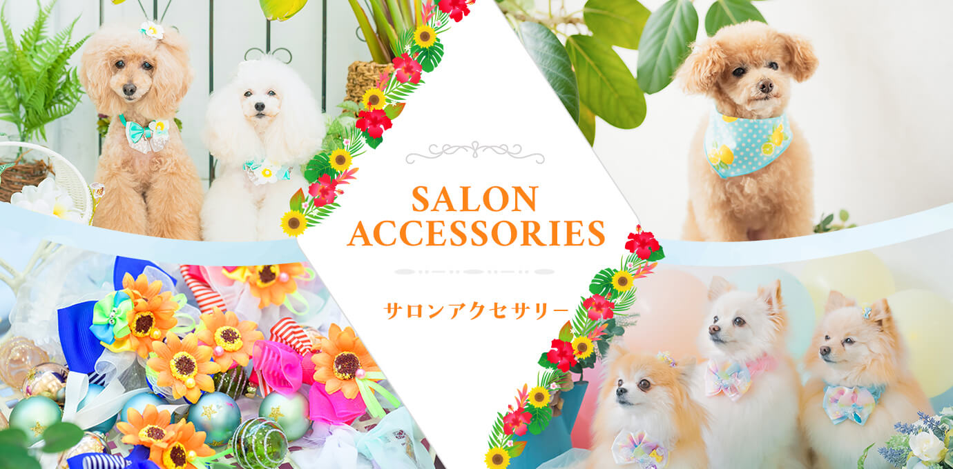 Spring Summer Collection