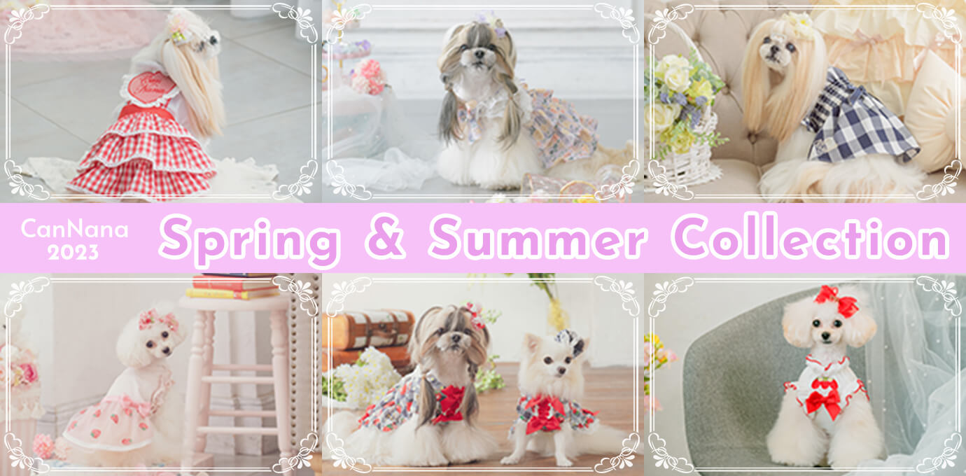 Spring Summer Collection