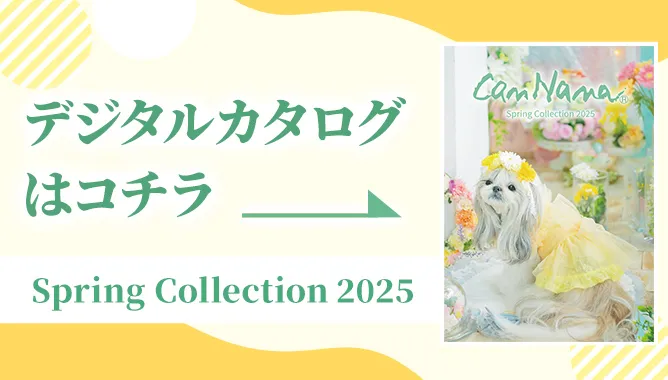 2025春サロンデジタルカタログはこちら